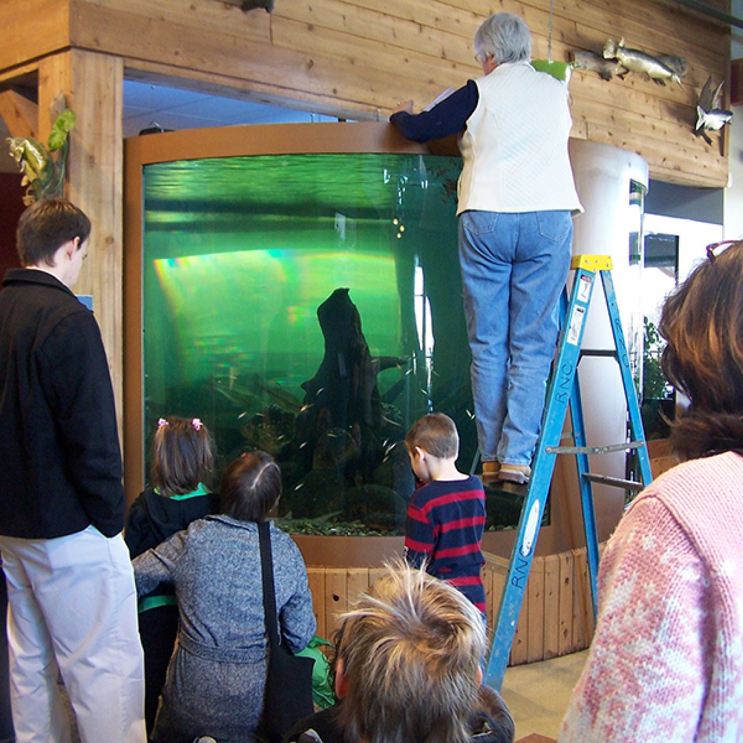 Fish Feed Nature Center