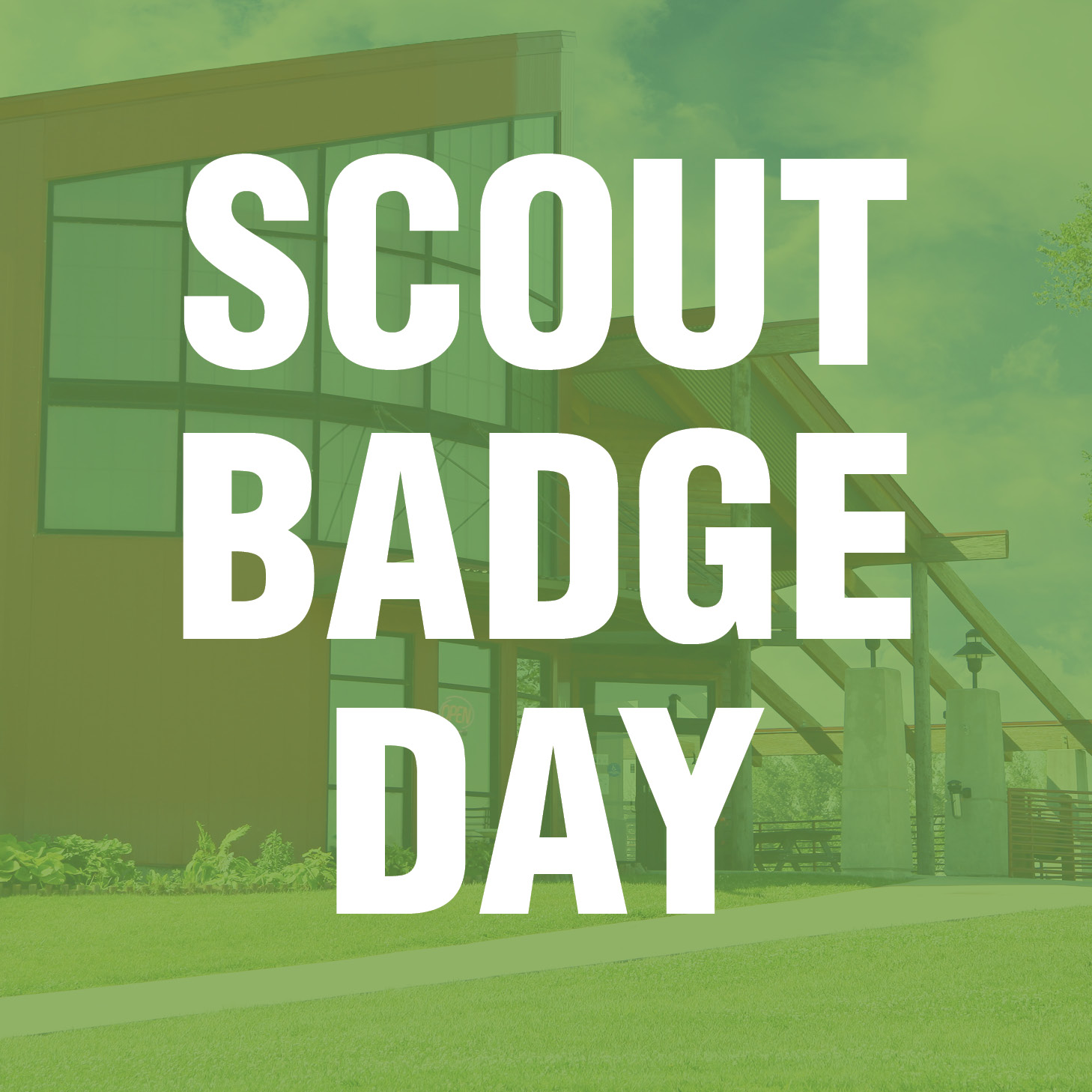 Scout Badge Day