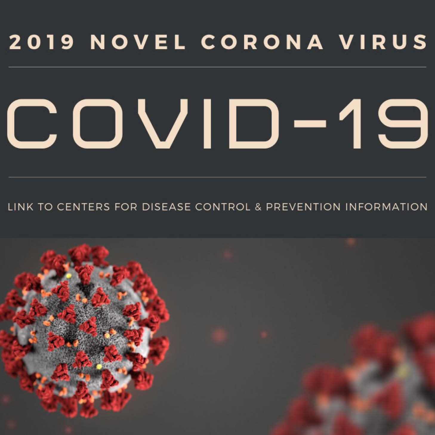 Corona Virus