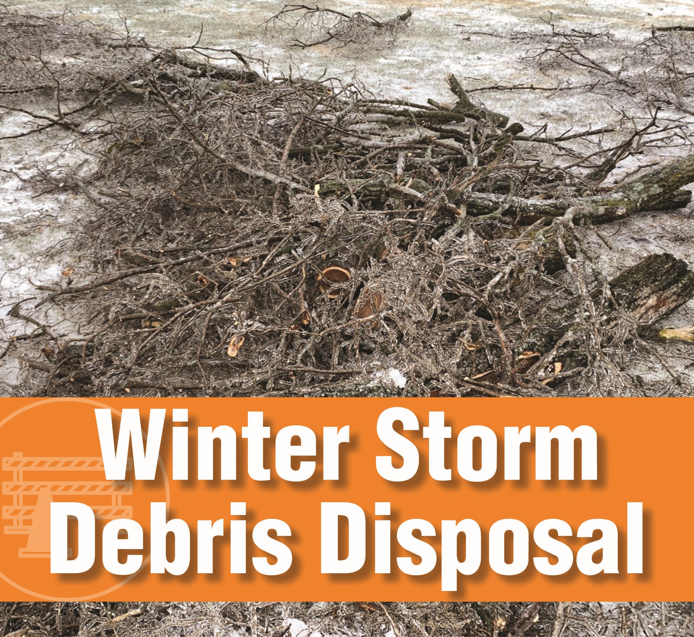 Winter Storm Disposal