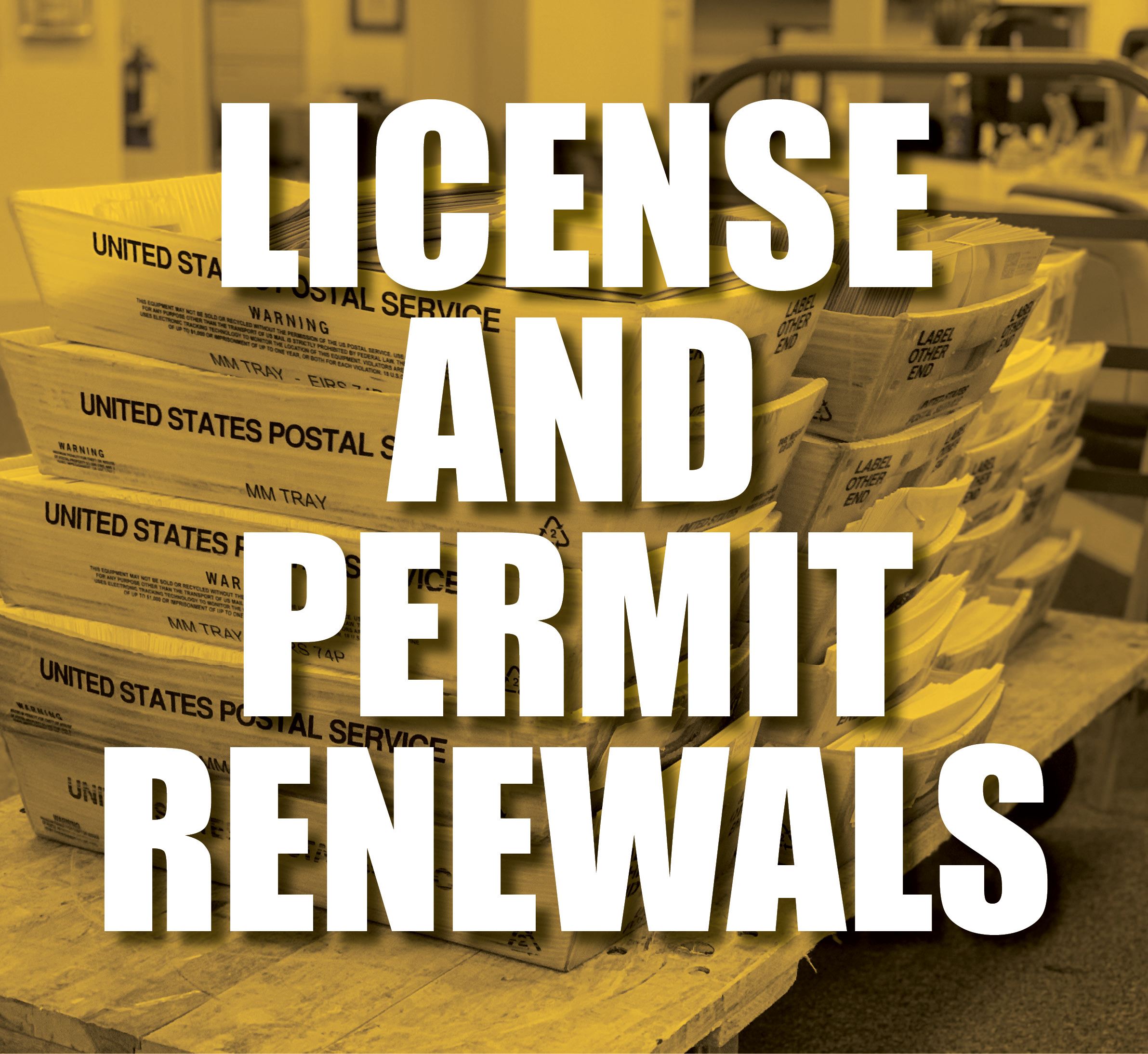 License and Permit Renewal
