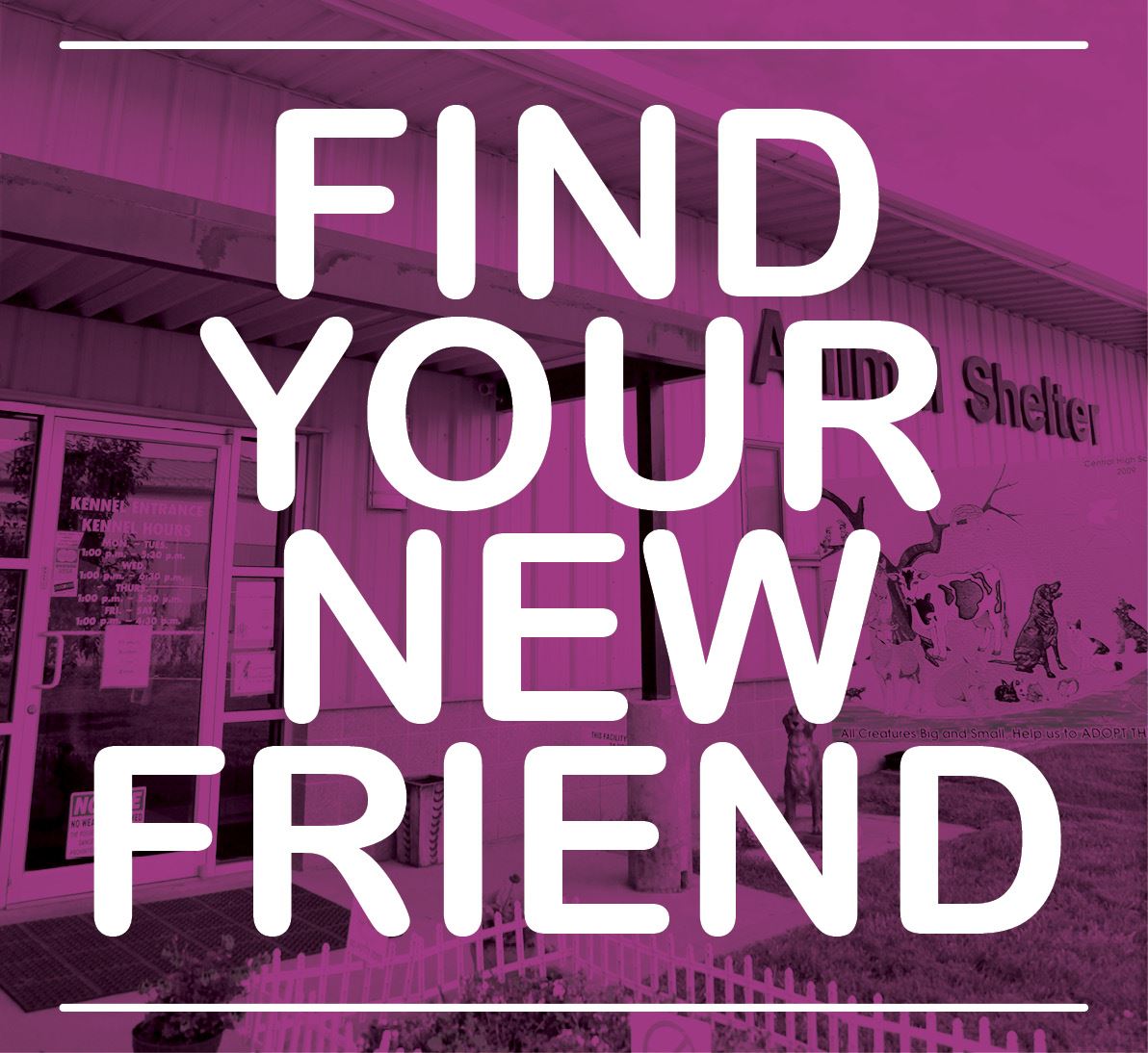 Find Your Friend Shelter